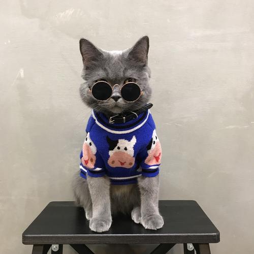 猫咪衣服秋季英短蓝猫宠物猫猫布偶猫冬季可爱狗宠物服装